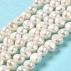 Natural Cultured Freshwater Pearl Beads Strands PEAR-E017-09-2