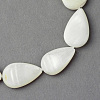 Natural Sea Shell Beads Strands X-SSHEL-Q296-43-2