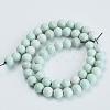 Natural Agate Beads Strands X-G-S286-06D-2