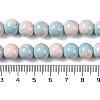 Baking Paint Glass Bead Strands GLAA-H031-01C-10-5