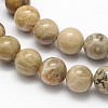 Natural Fossil Coral Round Bead Strands X-G-N0166-05-6mm-2