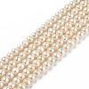 Natural Cultured Freshwater Pearl Beads Strands PEAR-L033-08C-02-1