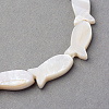 Natural Sea Shell Beads Strands X-SSHEL-Q296-39-2