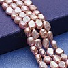 Natural Cultured Freshwater Pearl Beads Strands PEAR-P060-23A-1
