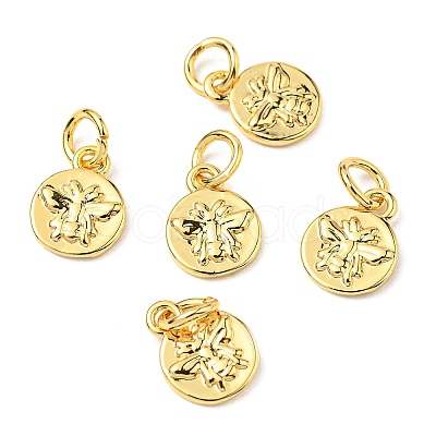 Brass Charms ZIRC-E164-57G-1