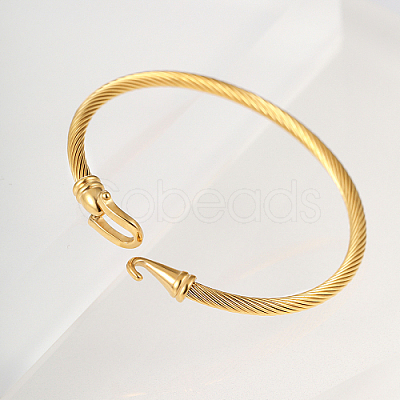 Stainless Steel Bangle QN8266-1