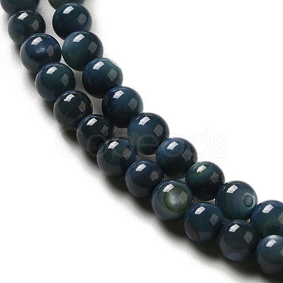 Natural Freshwater Shell Beads Strands SHEL-H003-03C-1