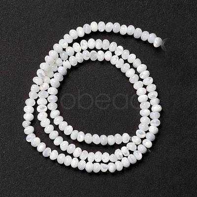 Natural Trochid Shell/Trochus Shell Beads Strands X-SSHEL-O001-24B-02-1