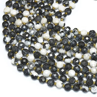 Natural Zebra Jasper Beads Strands G-K389-B56-01-1