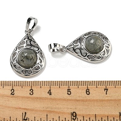 Natural Labradorite Pendants G-Q158-05P-30-1