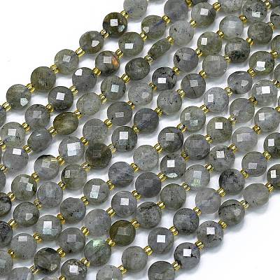 Natural Labradorite Beads Strands G-K389-B66-01-1