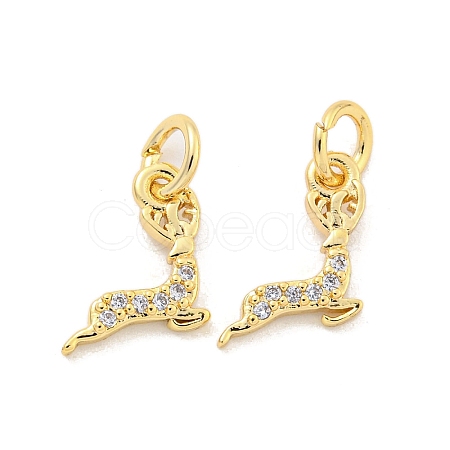 Brass Micro Pave Clear Cubic Zirconia Charms KK-Z044-31G-1