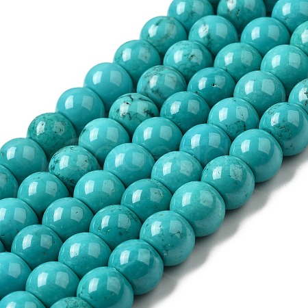 Natural Howlite Beads Strands G-B049-C01-07A-1