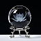 Carving Crystal Ball, Glass Sphere Decoration, with Platinum Tone Alloy Stand, Clear, July Lotus, 60mm