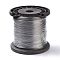 Non-Tarnish (Defective Closeout Sale: Defective Spool) Tiger Tail Wire, Nylon-coated 304 Stainless Steel Wire, Stainless Steel Color, 0.25mm, about 13123.35 Feet(4000m)/1roll