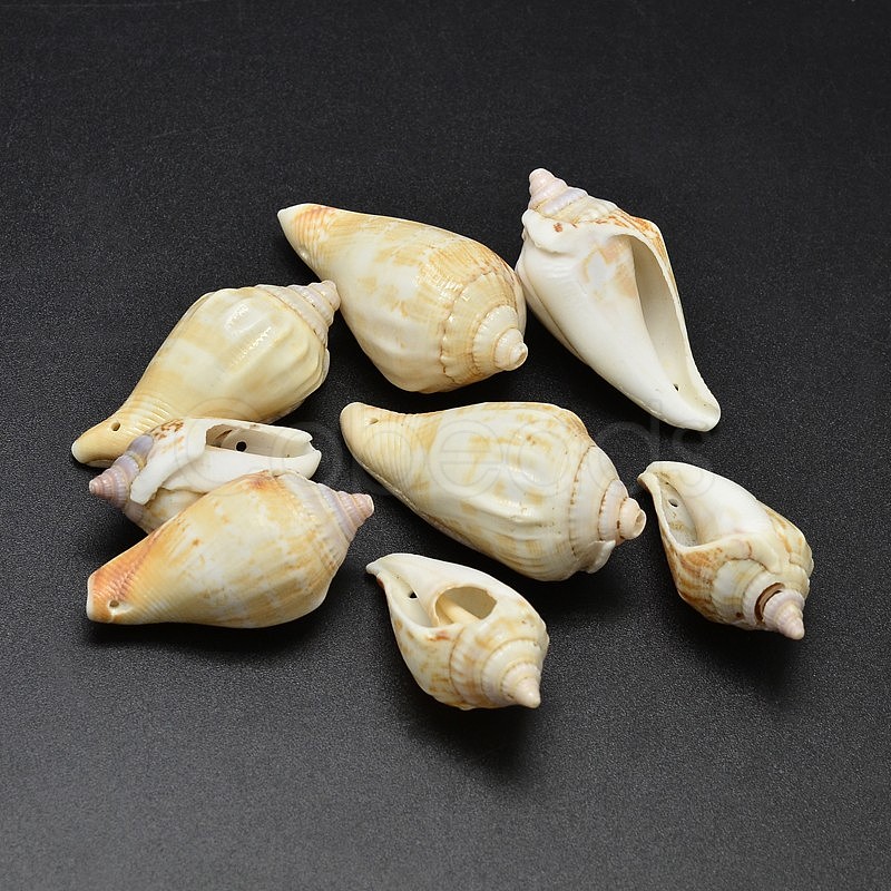 Cheap Natural Conch Shell Beads Online Store 