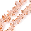 Transparent Glass Beads Strands GLAA-Z009-01L-1