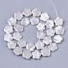 Shell Pearl Beads Strands X-SSHEL-T011-01-2