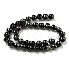 Natural Black Agate Beads Strands G-G391-10mm-01-5