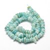 Natural Amazonite Chip Beads Strands X-G-E271-107-2