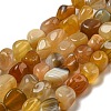 Natural Botswana Agate Beads Strands G-D081-A10-02-1