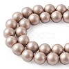 Shell Pearl Beads Strands BSHE-TA0002-03B-10mm-4
