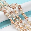 Natural Shell Beads Strands G-F328-45-7