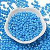 Baking Painted Glass Seed Beads SEED-C004-01M-2