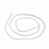 Electroplate Glass Beads Strands EGLA-F149-FR-06-4