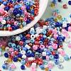 Opaque & Transparent Inside Colours Glass Seed Beads SEED-A030-10C-1
