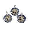 Natural Blue Spot Jasper Flat Round Pendants G-Q188-01P-12-1