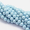 Shell Pearl Beads Strands X-BSHE-E008-8mm-21-1