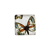 Butterfly Printed Glass Square Cabochons GGLA-N001-10mm-C-2