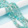 Natural Exotic Amazonite Chips Beads Strands F070-1-4
