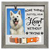 MDF Pet Photo Frames DIY-WH0525-006-1