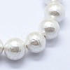 Shell Pearl Beads Strands BSHE-K053-02-20mm-3