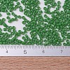 MIYUKI Delica Beads Small SEED-X0054-DBS0724-4