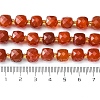 Natural Carnelian Beads Strands G-Q010-A17-01-5