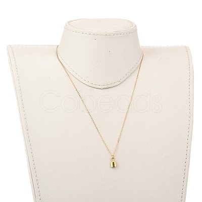 Pendant Necklaces NJEW-JN02929-01-1