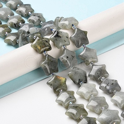 Natural Labradorite Beads Strands G-NH0005-020-1