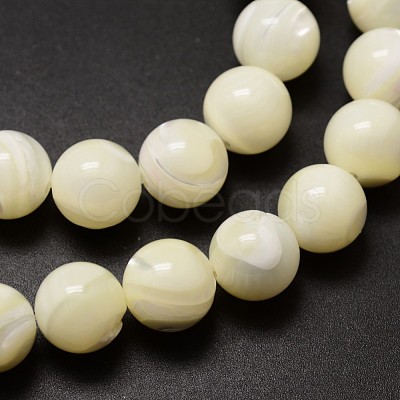 Natural Sea Shell Beads Strands SSHEL-K013-10mm-A-1