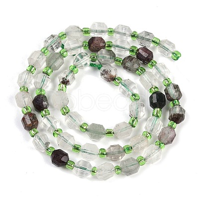 Natural Lodolite Quartz Beads Strands G-O201B-109E-1