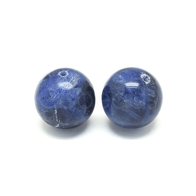 Natural Sodalite Beads X-G-F222-39A-14mm-1