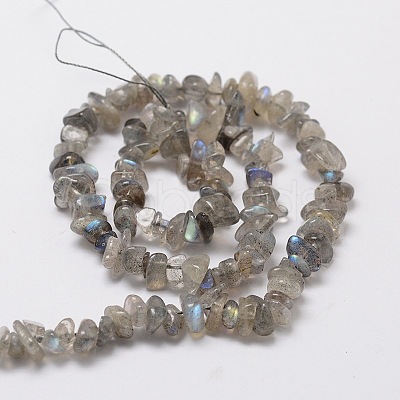 Natural Labradorite Chip Bead Strands X-G-M298-06-1