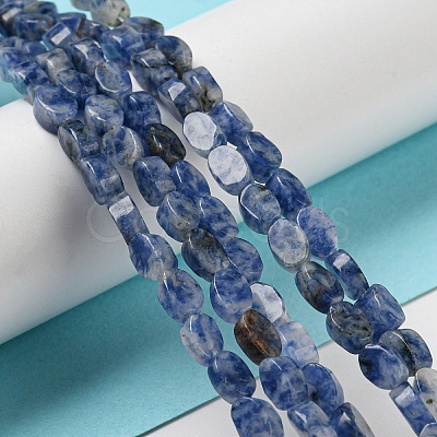 Natural Blue Spot Jasper Beads Strands G-M420-H06-03-1