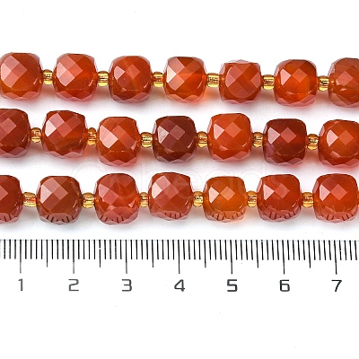 Natural Carnelian Beads Strands G-Q010-A17-01-1