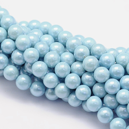 Shell Pearl Beads Strands X-BSHE-E008-8mm-21-1