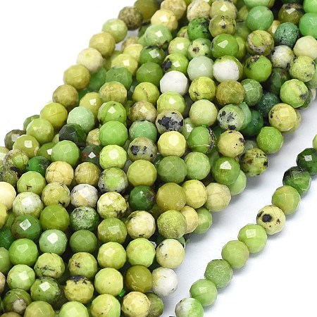 Natural Serpentine Beads Strands G-O180-02A-1