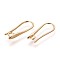 Brass Earring Hooks, with Horizontal Loop, Golden, 19.5x8x2.5mm, Hole: 2mm, 18 Gauge, Pin: 1mm