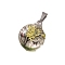 5Pcs/Set Dried Flower Glass Pendants, Flat Round, Yellow, 32x20mm, 5pcs/set